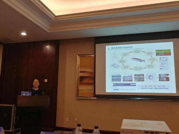 好色tv
科研人员参加中国毒理学会第九次全国毒理学大会-大会报告.jpg